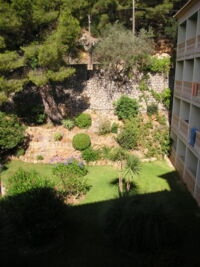 Auch der Garten ist gepflegt.