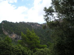 Da oben ließ es sich bestimmt gut wohnen.